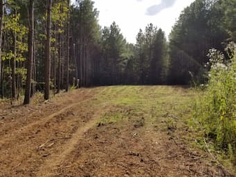 Food Plot