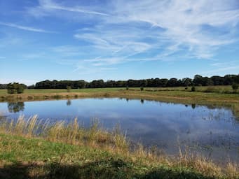 The Pond