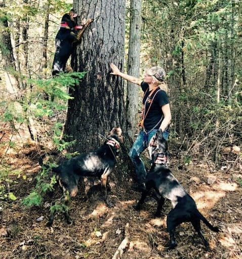 Girls With Hounds