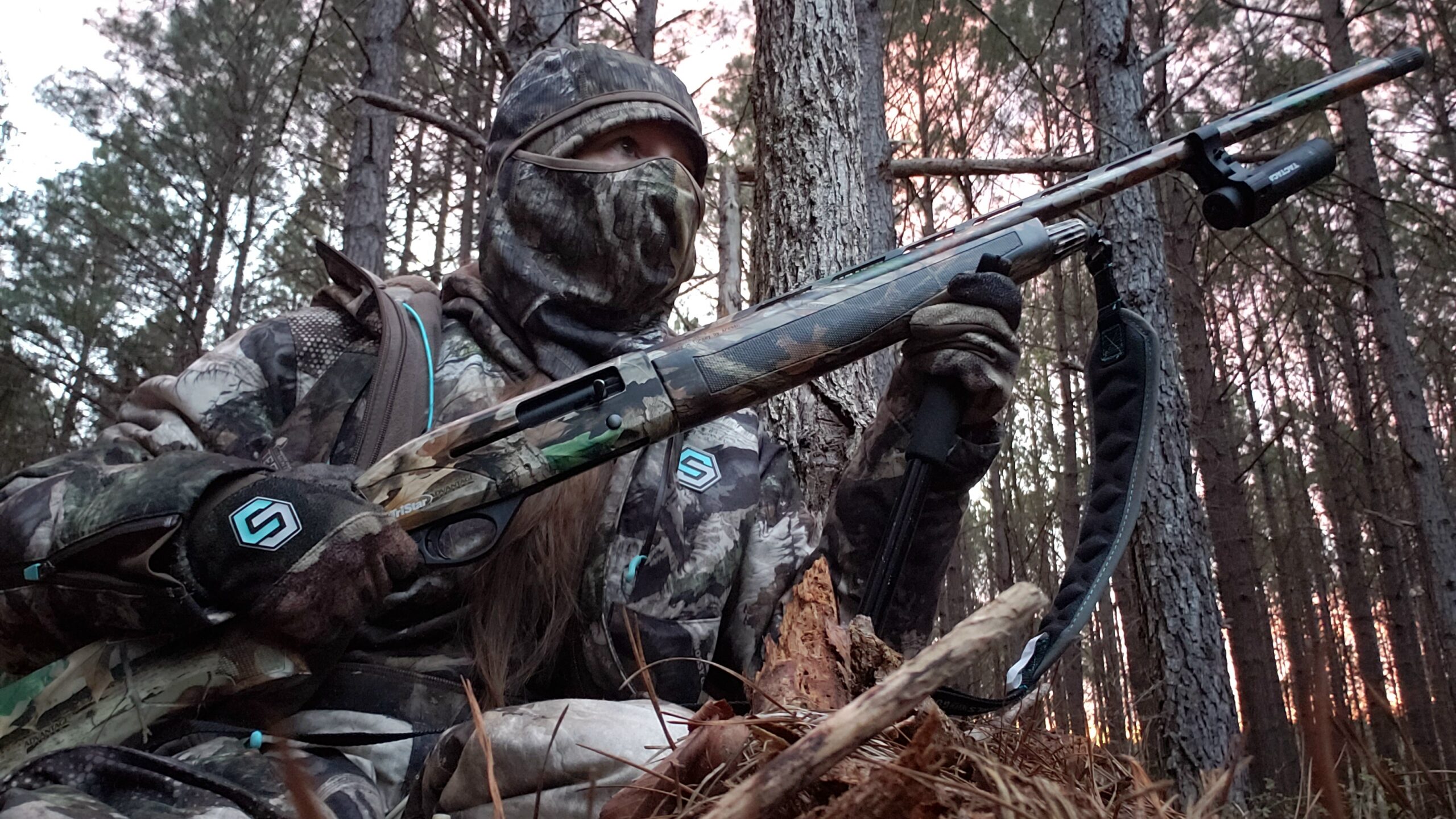 Reveal: The Best Cell Cam Trail Cameras on the Market