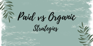 Paid vs Organic