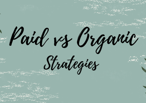 Paid vs Organic